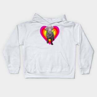 Gorgeous chocolate labrador in a rainbow digital heart! Kids Hoodie